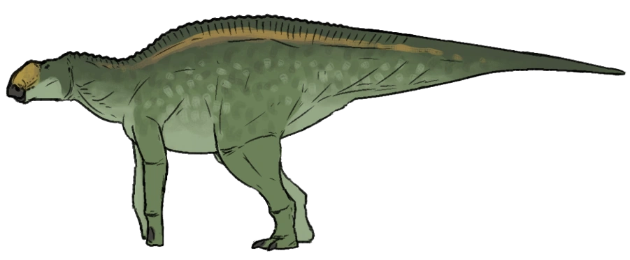 Ilustración paleontológica de Secernosaurus