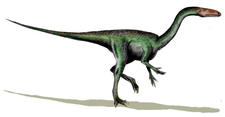 Ilustración paleontológica de Segisaurus