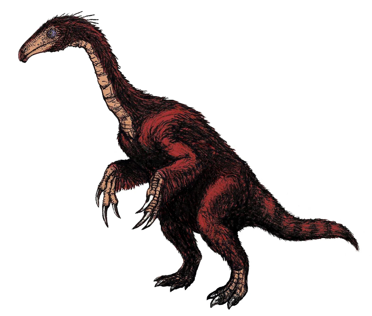 Ilustración paleontológica de Segnosaurus