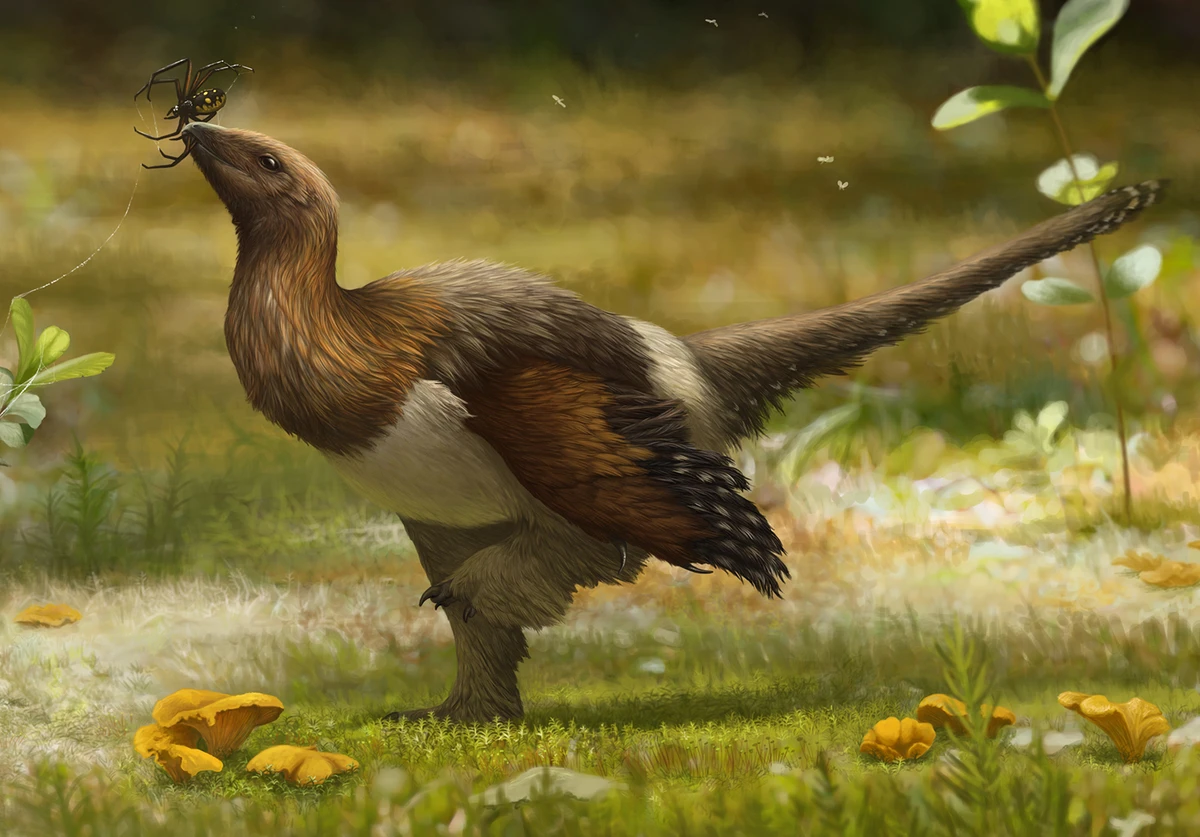 Ilustración paleontológica de Serikornis