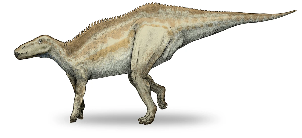 Ilustración paleontológica de Shantungosaurus