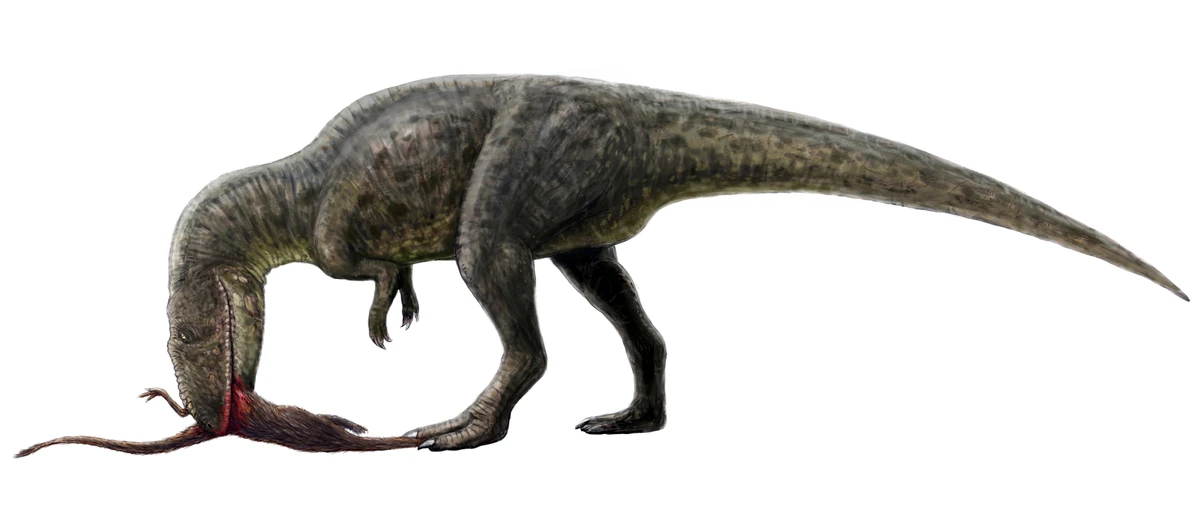Ilustración paleontológica de Shaochilong
