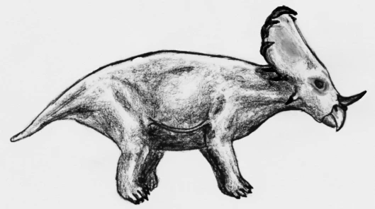 Ilustración paleontológica de Sinoceratops