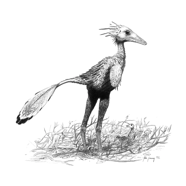 Ilustración paleontológica de Sinornithoides