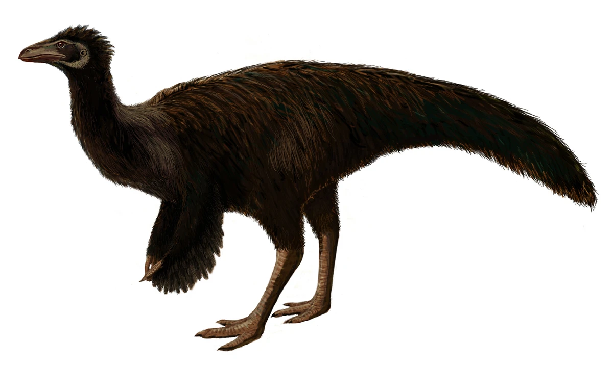 Ilustración paleontológica de Sinornithomimus