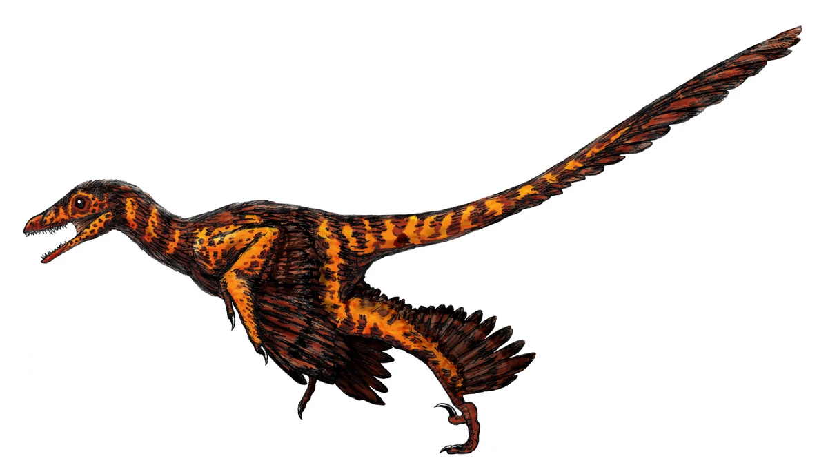 Ilustración paleontológica de Sinornithosaurus