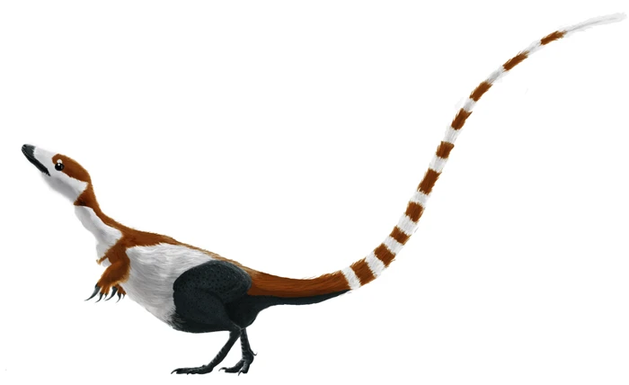 Ilustración paleontológica de Sinosauropteryx