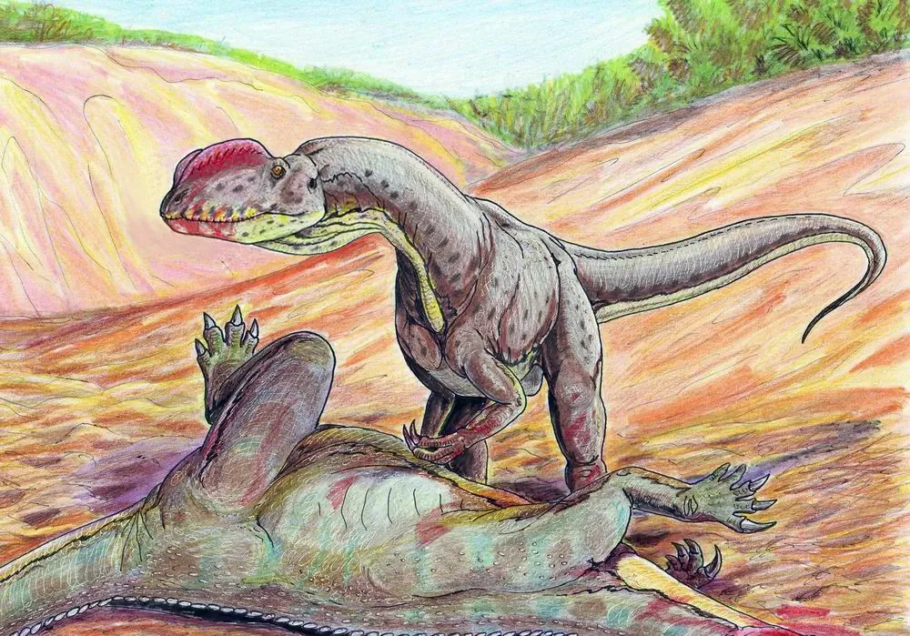 Ilustración paleontológica de Sinosaurus