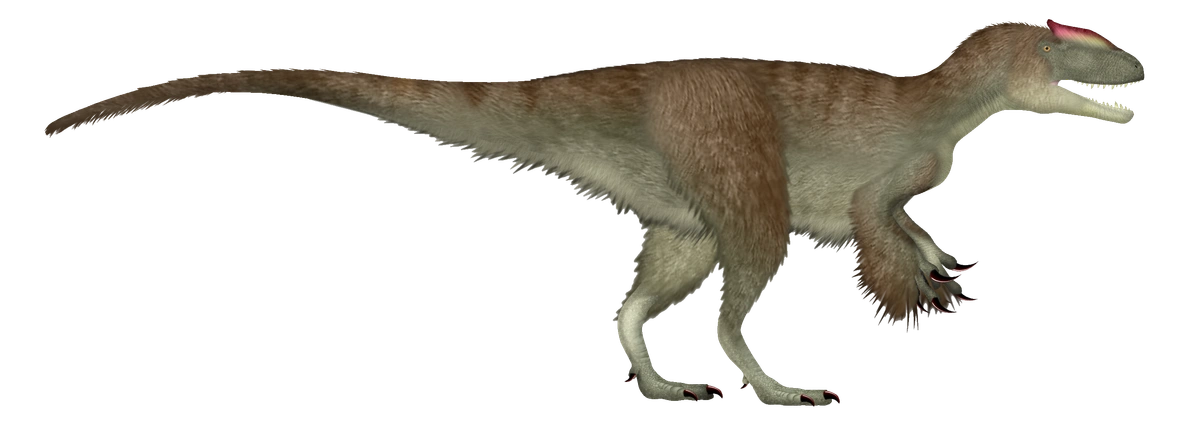 Ilustración paleontológica de Sinotyrannus