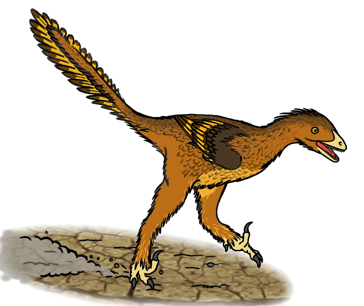 Ilustración paleontológica de Sinovenator