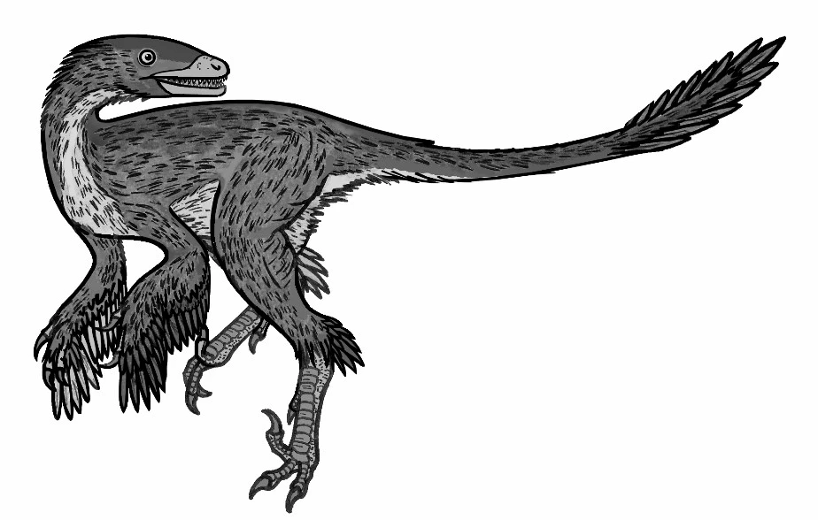 Ilustración paleontológica de Sinusonasus