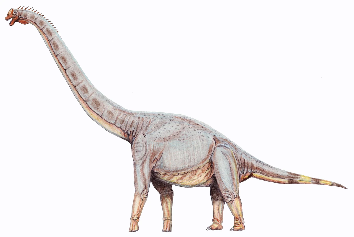 Ilustración paleontológica de Sonorasaurus