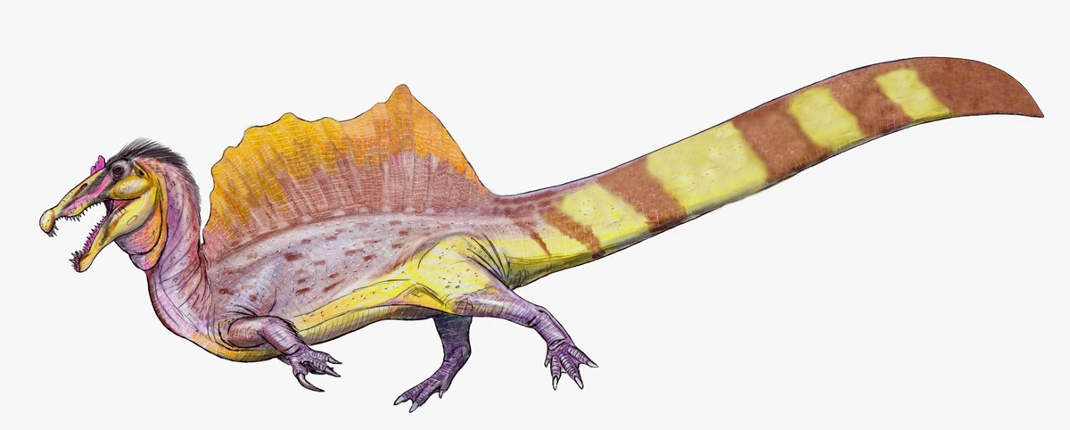 Ilustración paleontológica de Spinosaurus