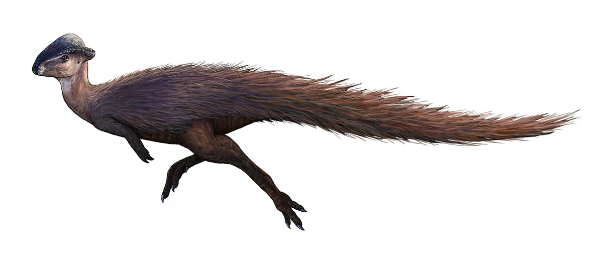 Ilustración paleontológica de Stegoceras