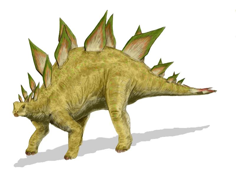Ilustración paleontológica de Stegosaurus