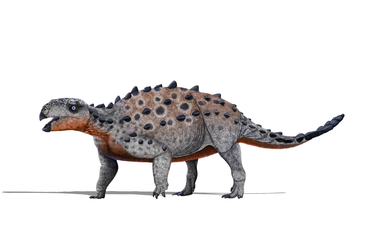 Ilustración paleontológica de Stegouros