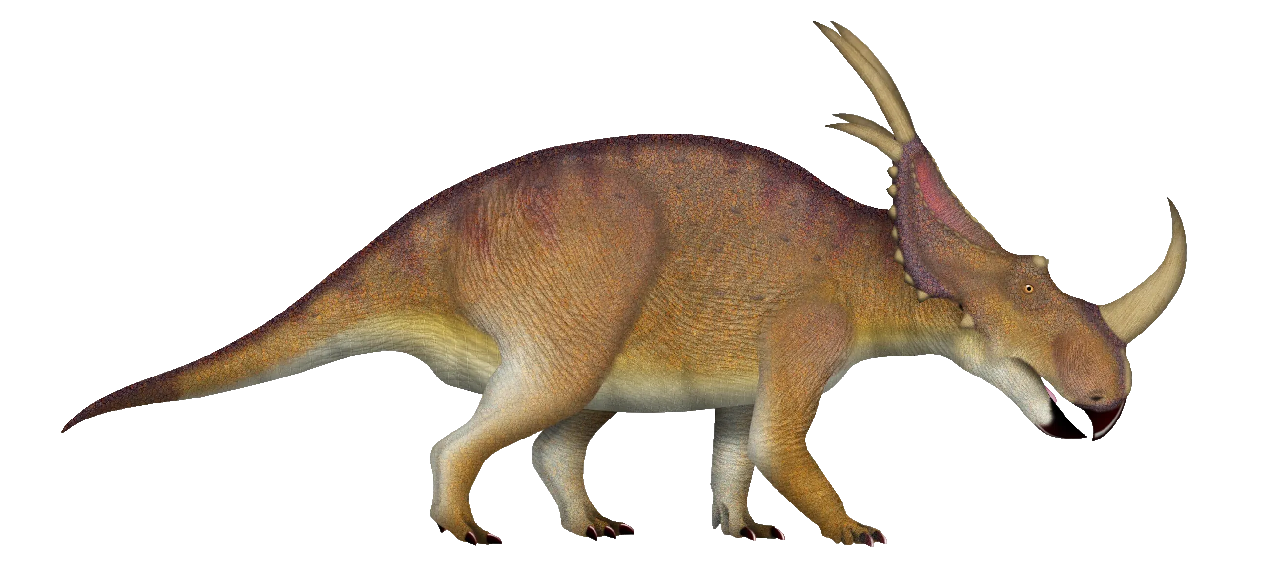 Ilustración paleontológica de Stellasaurus