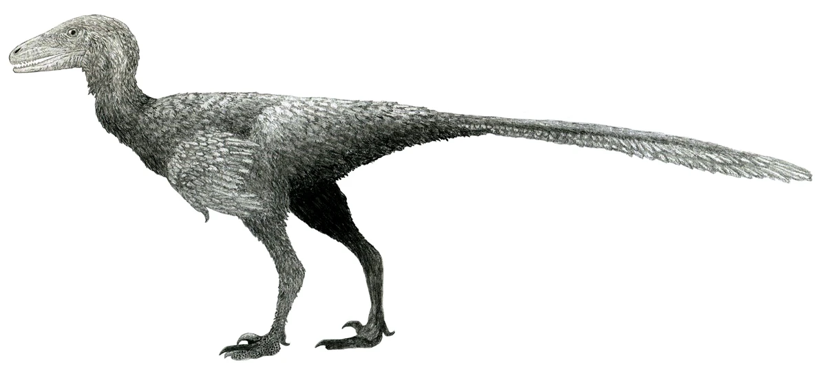 Ilustración paleontológica de Stenonychosaurus