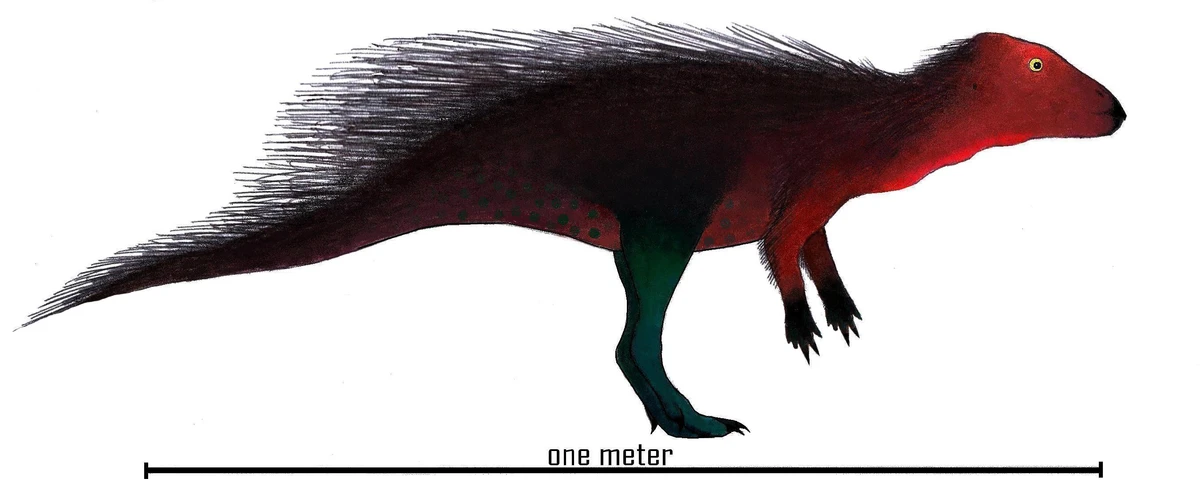Ilustración paleontológica de Stenopelix