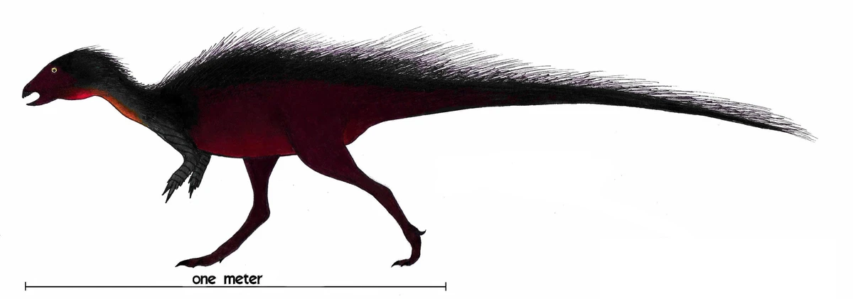 Ilustración paleontológica de Stormbergia