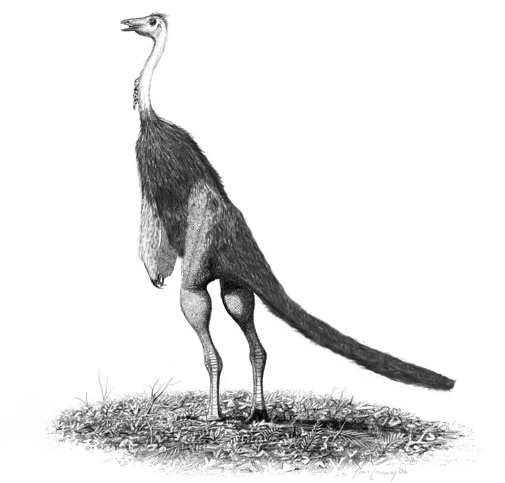 Ilustración paleontológica de Struthiomimus