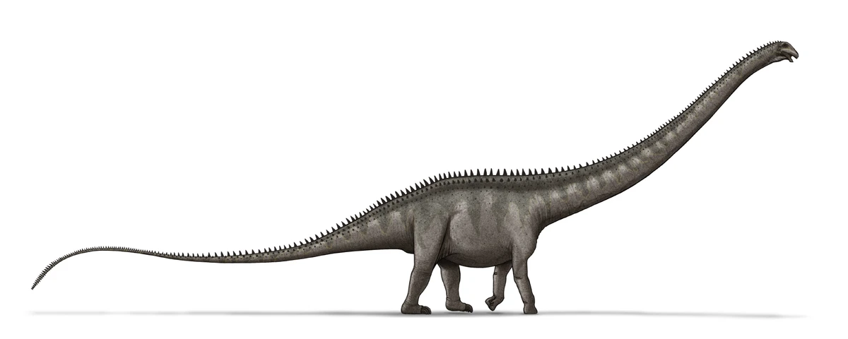 Ilustración paleontológica de Supersaurus