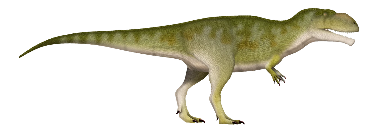 Ilustración paleontológica de Tameryraptor