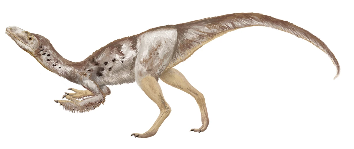 Ilustración paleontológica de Tanycolagreus
