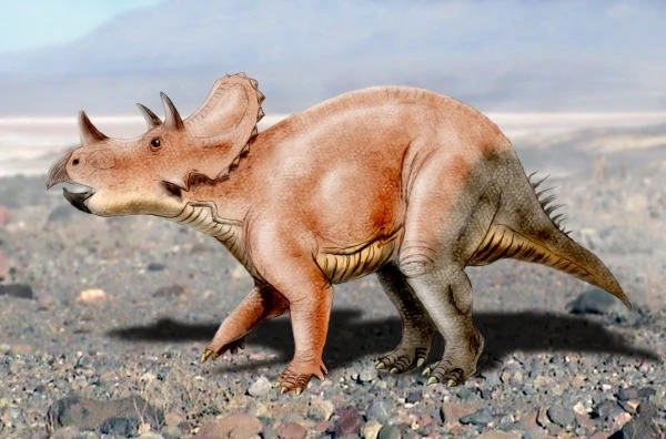 Ilustración paleontológica de Tatankaceratops