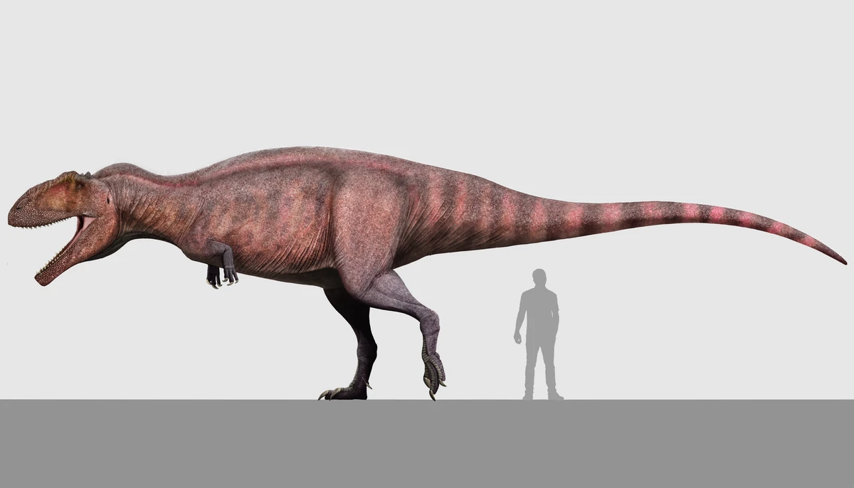 Ilustración paleontológica de Taurovenator