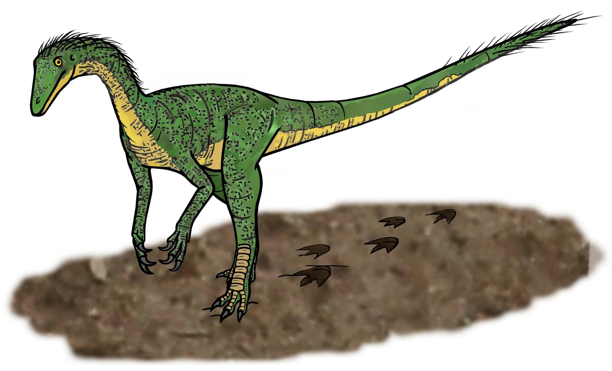 Ilustración paleontológica de Tawa