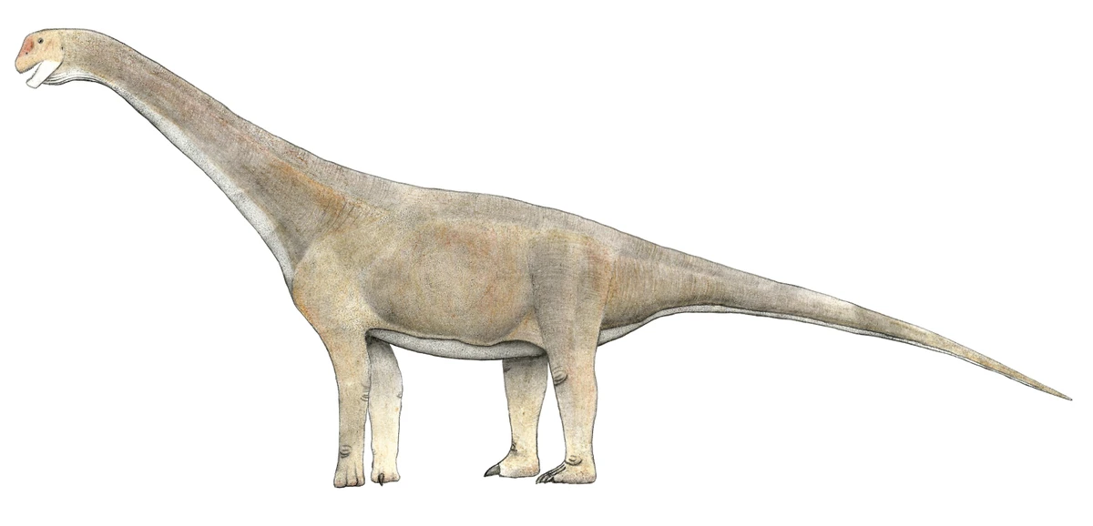 Ilustración paleontológica de Tehuelchesaurus