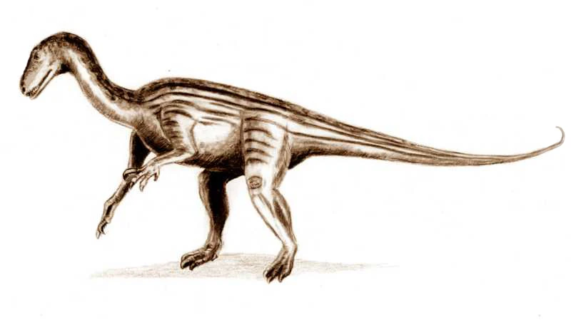 Ilustración paleontológica de Thecodontosaurus