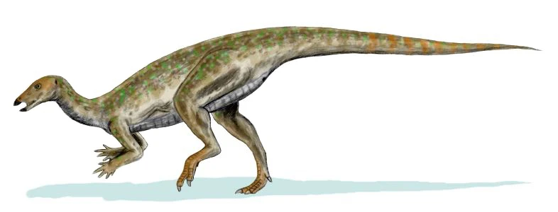 Ilustración paleontológica de Thescelosaurus