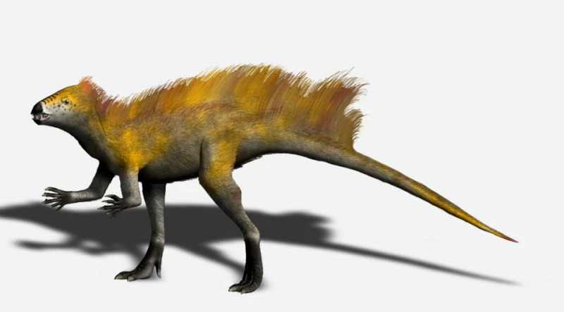 Ilustración paleontológica de Tianyulong