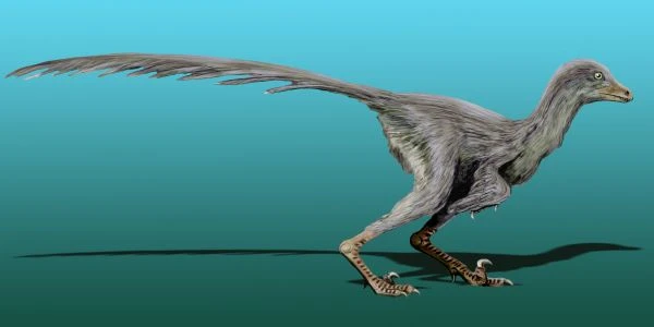 Ilustración paleontológica de Tianyuraptor