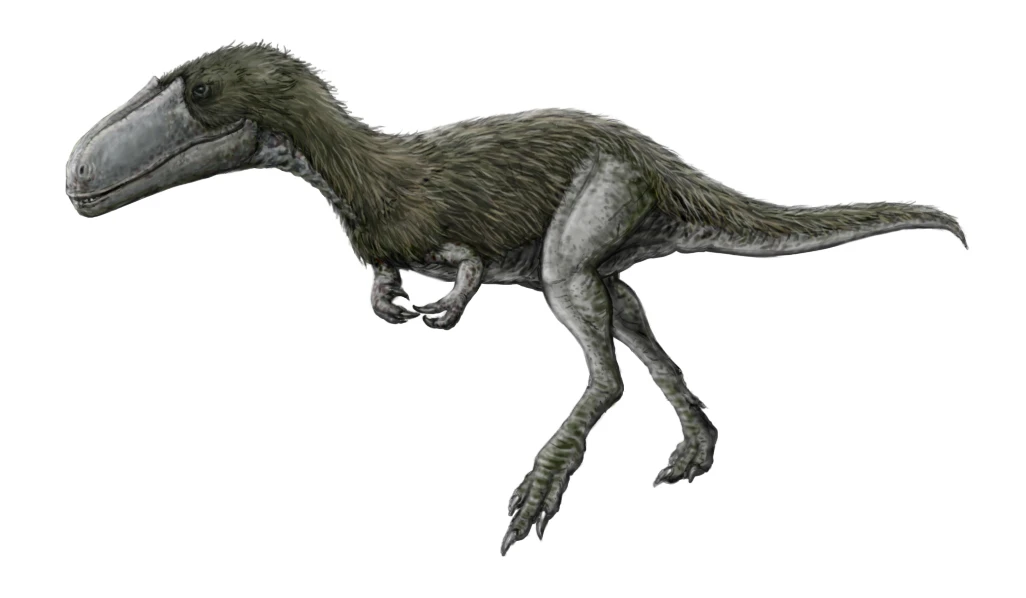 Ilustración paleontológica de Timurlengia