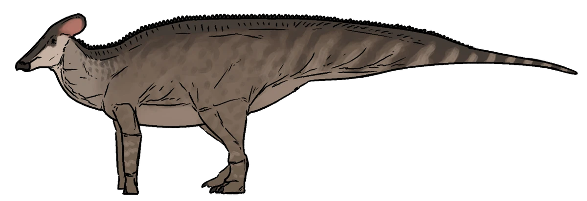 Ilustración paleontológica de Tlatolophus