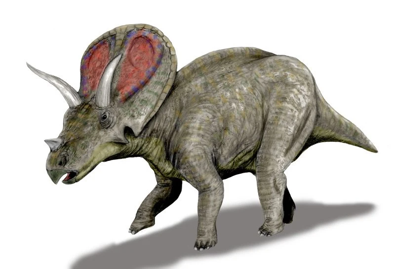 Ilustración paleontológica de Torosaurus