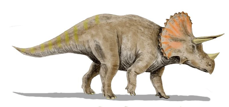 Ilustración paleontológica de Triceratops