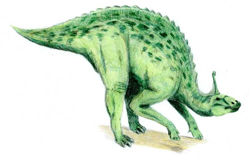 Ilustración paleontológica de Tsintaosaurus
