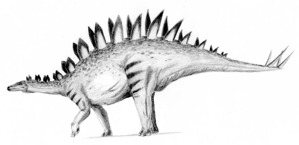 Ilustración paleontológica de Tuojiangosaurus