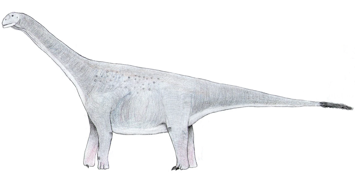 Ilustración paleontológica de Turiasaurus
