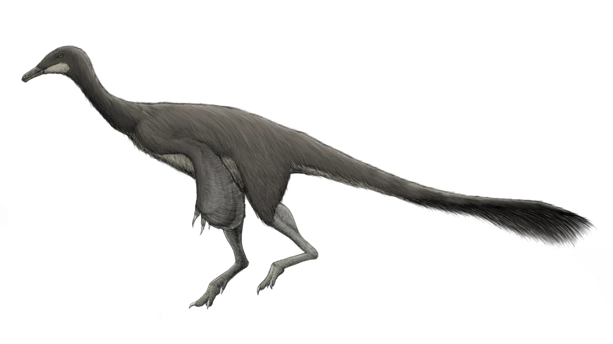 Ilustración paleontológica de Tyrannomimus