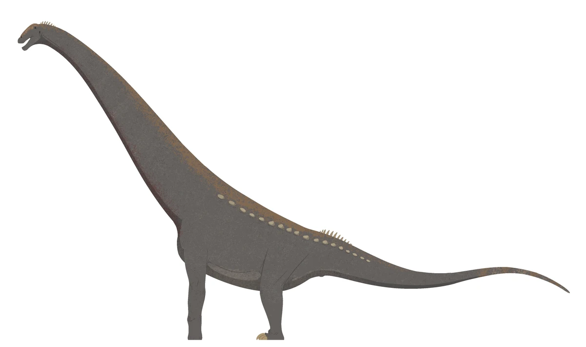 Ilustración paleontológica de Uberabatitan