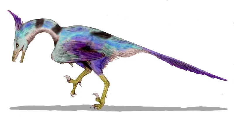 Ilustración paleontológica de Unenlagia
