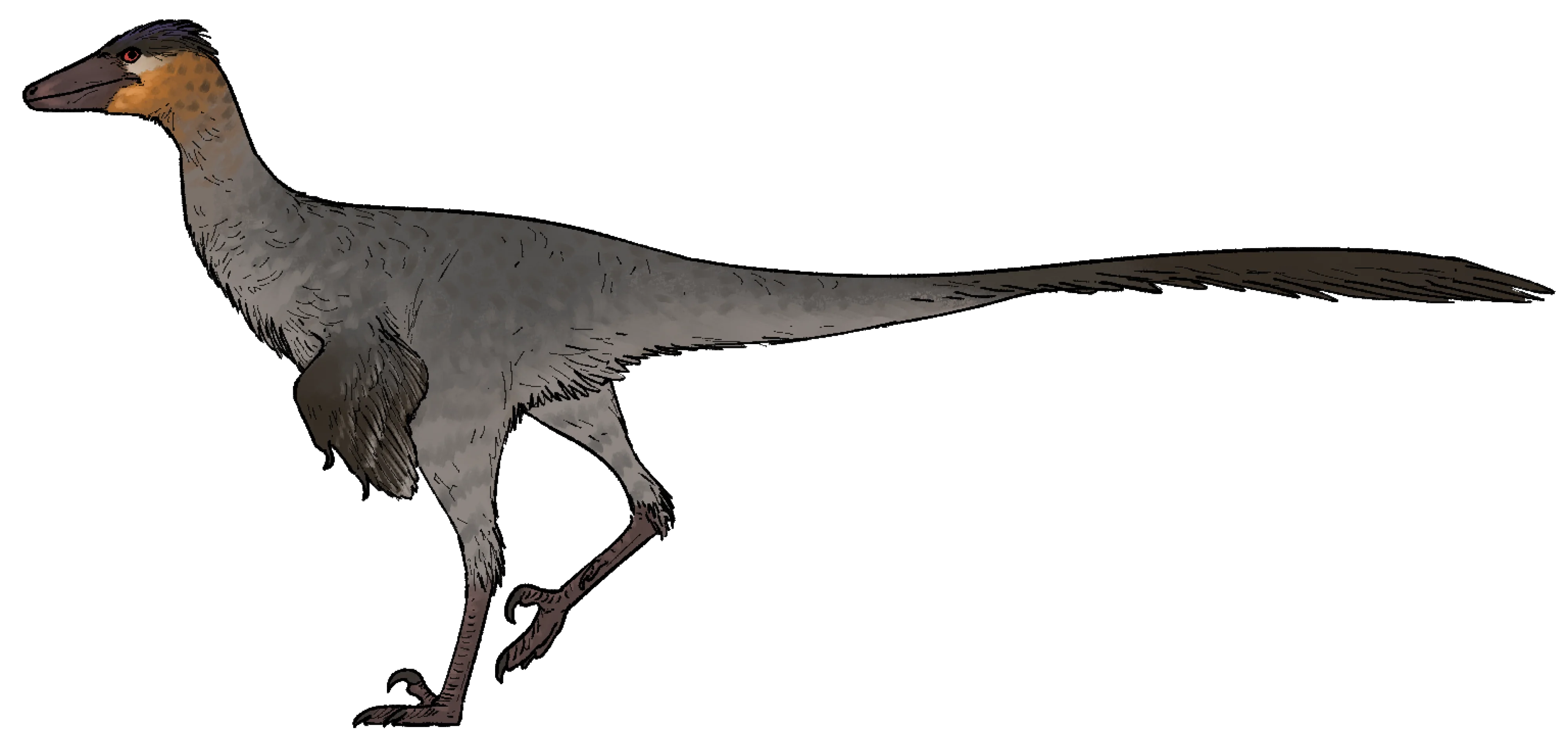 Ilustración paleontológica de Urbacodon