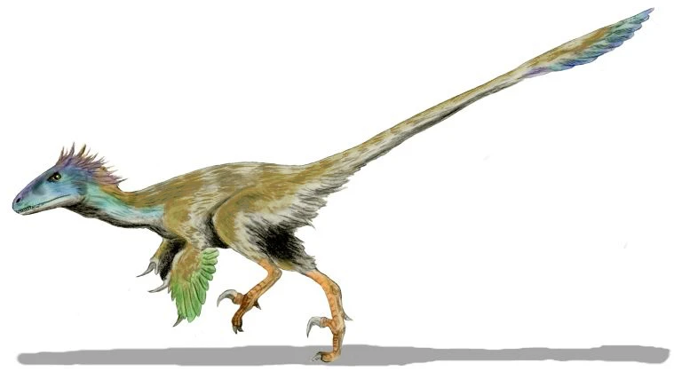Ilustración paleontológica de Utahraptor