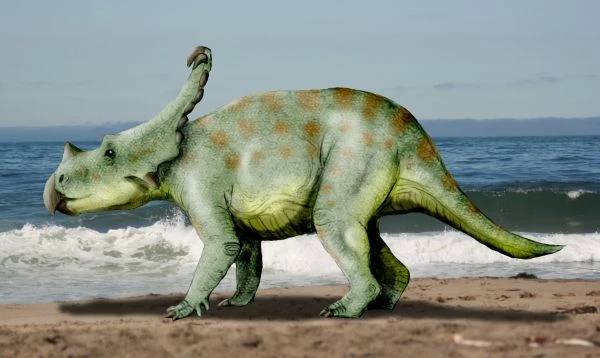 Ilustración paleontológica de Vagaceratops