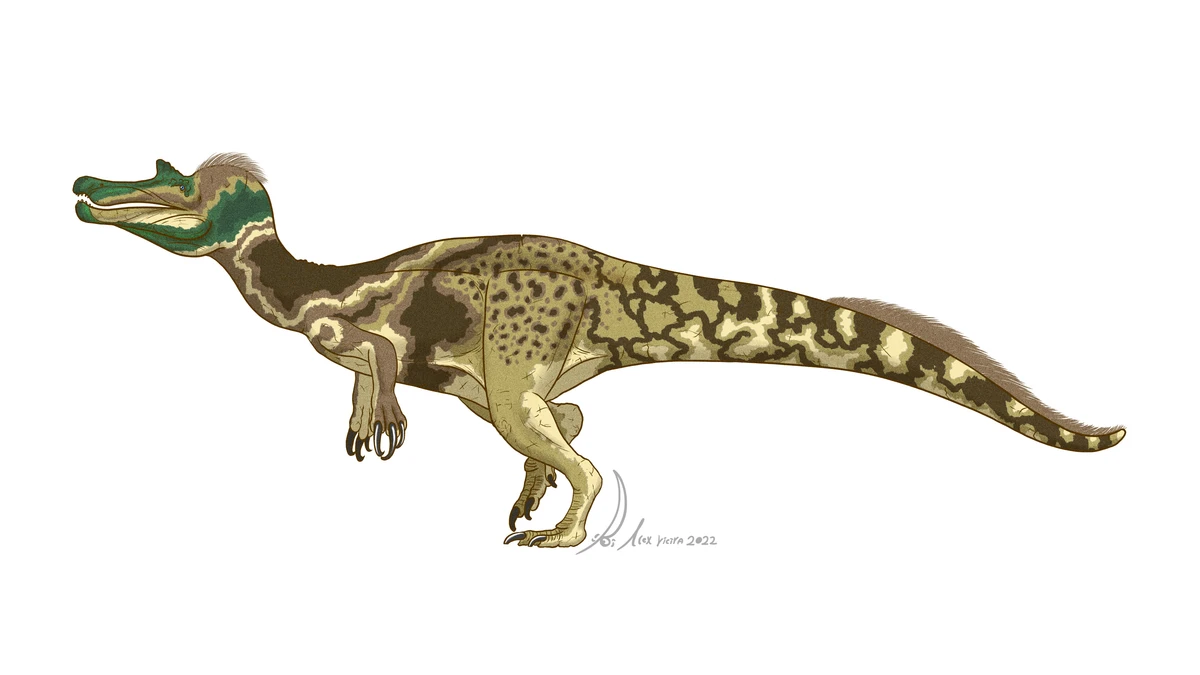Ilustración paleontológica de Vallibonavenatrix